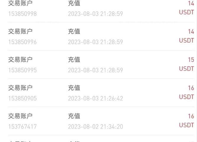 （6906期）外面收费几千上万的visionstube愿景管撸美金项目，单日30-50美金+可批量插图3