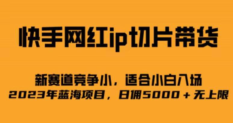 （6832期）快手网红ip切片新赛道，竞争小事，适合小白  2023蓝海项目插图
