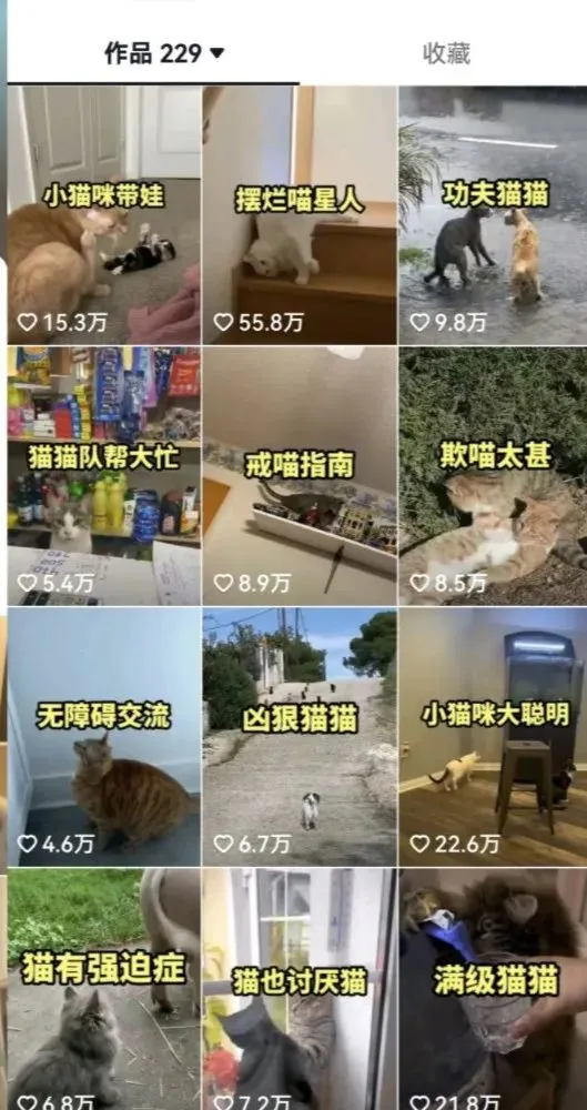(6568期)拆解:抖音盘点类中视频变现副业项目,视频版一条龙大解析分享给你插图2 (6568期)拆解:抖音盘点类中视频变现副业项目,视频版一条龙大解析分享给你插图2