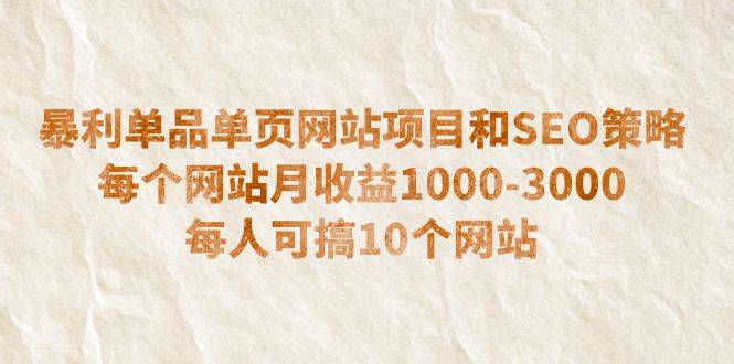 （6503期）暴利单品单页网站项目和SEO策略  每个网站月收益1000-3000  每人可搞10个插图