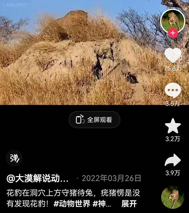 (6312期)外面卖1699的国外纪录片解说(动物解说、美食、动画片)稳过中视频插图1 (6312期)外面卖1699的国外纪录片解说(动物解说、美食、动画片)稳过中视频插图1