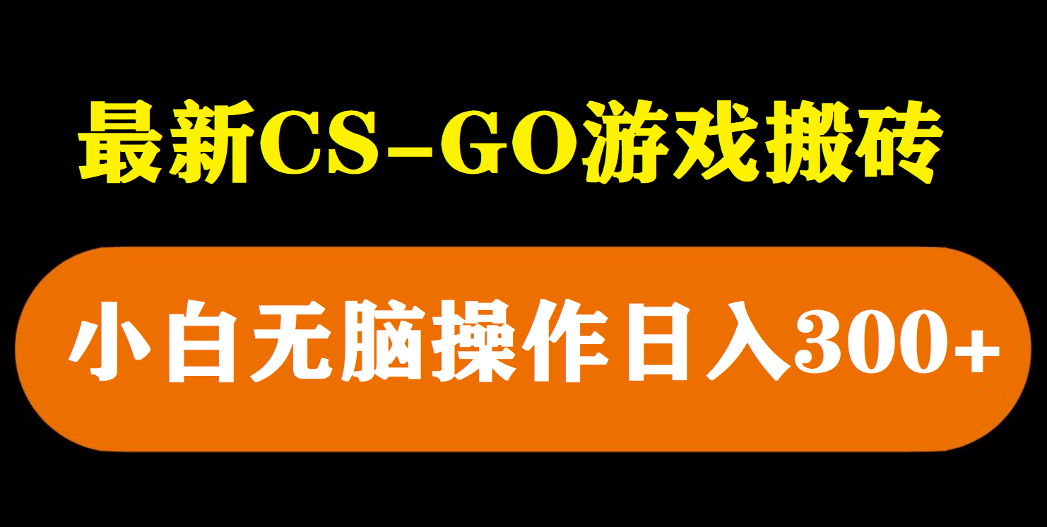 （5760期）最新csgo游戏搬砖游戏，无需挂机小白无脑也能日入300+插图