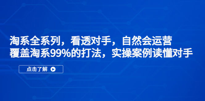 （5233期）淘系全系列，看透对手，自然会运营，覆盖淘系99%·打法，实操案例读懂对手插图
