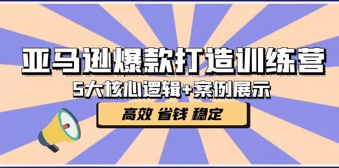 （5107期）亚马逊爆款打造训练营：5大核心逻辑+案例展示 打造爆款链接 高效 省钱 稳定插图