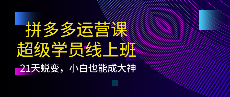 （3929期）拼多多运营课：超级学员线上班，21天蜕变，小白也能成大神插图