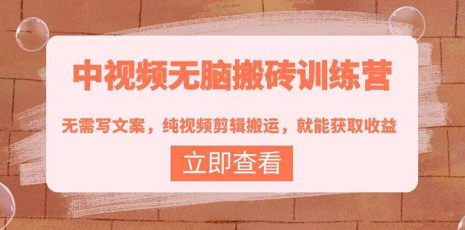 （3878期）中视频无脑搬砖训练营：无需写文案，纯视频剪辑搬运，就能获取收益！插图