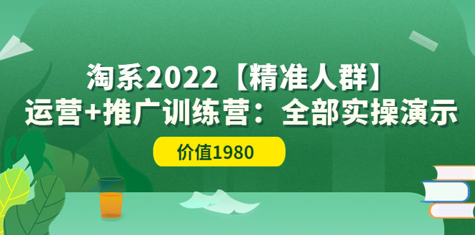 （3516期）淘系2022【精准人群】运营+推广训练营：全部实操演示插图