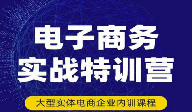 （3101期）电子商务实战特训营，全方位带你入门电商，308种方式玩转电商插图