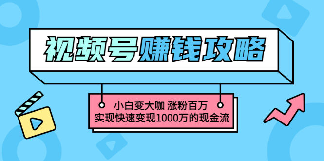 （3020期）玩转微信视频号赚钱：小白变大咖 涨粉百万 实现快速变现1000万的现金流插图