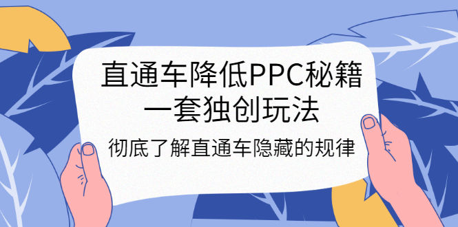 （3013期）直通车降低PPC秘籍，一套独创玩法：彻底了解直通车隐藏的规律插图