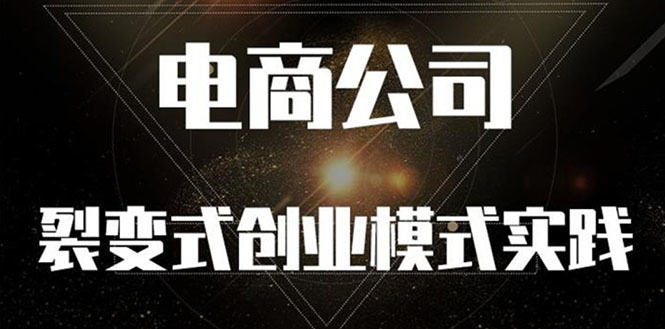 （2562期）《电商公司裂变式创业模式实践》开拓更多项目 赚更多的钱插图