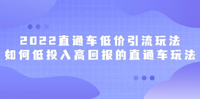 (2415期)2022直通车低价引流玩法,教大家如何低投入高回报的直通车玩法插图 (2415期)2022直通车低价引流玩法,教大家如何低投入高回报的直通车玩法插图