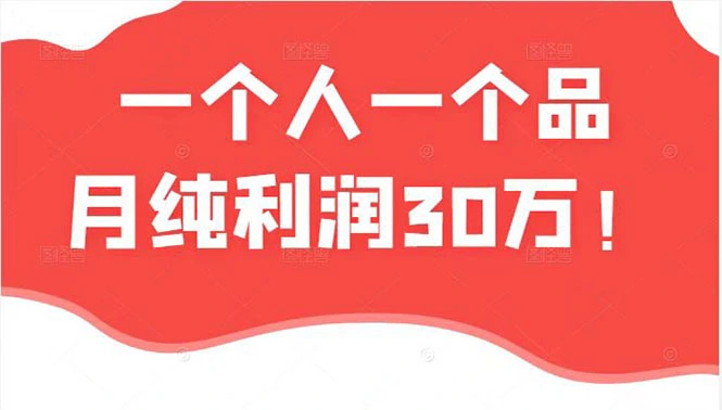 (2343期)某公众号付费文章:一个人一个品月纯利润30万的蓝海电商经典案例!插图 (2343期)某公众号付费文章:一个人一个品月纯利润30万的蓝海电商经典案例!插图
