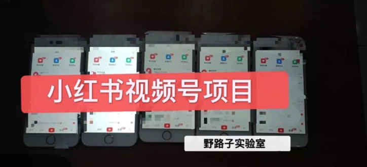 (1566期)野路子小红书课程月入过万:直接上手操作就能赚钱的视频号项目 可长久操作插图 (1566期)野路子小红书课程月入过万:直接上手操作就能赚钱的视频号项目 可长久操作插图