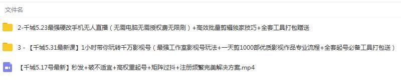 （1344期）1小时带你玩转千万影视号：专业起号+模板制作+1天剪1000部影视+全套工具插图2