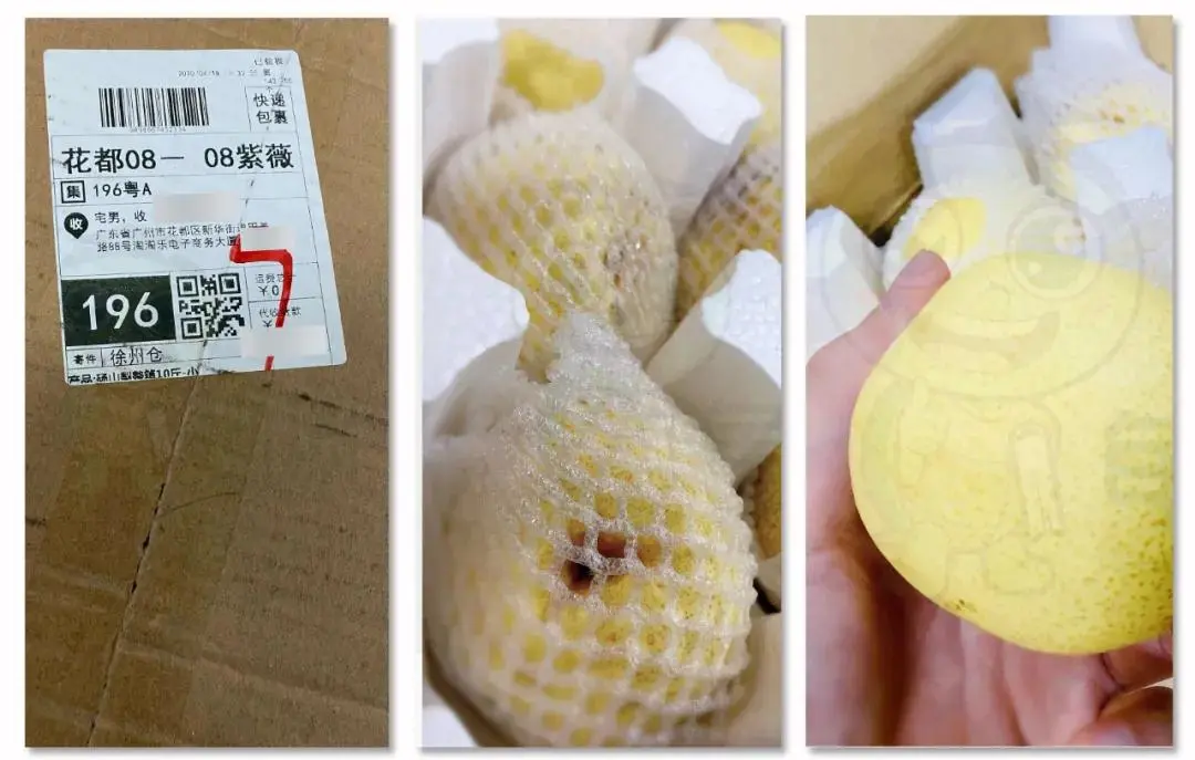 (1272期)《闲鱼项目玩法实战班》多号批量操作+一个月赚几万+无上限(完整无水印版)插图5 (1272期)《闲鱼项目玩法实战班》多号批量操作+一个月赚几万+无上限(完整无水印版)插图5