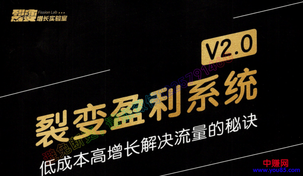 （955期）低成本高增长解决流量的秘诀《裂变盈利系统V2.0》视频+文档插图1