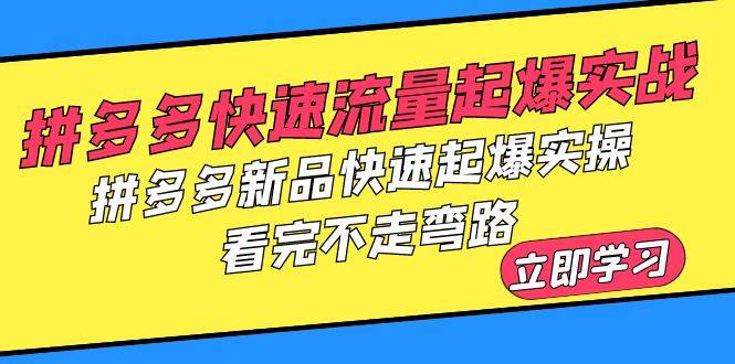 （6253期）拼多多-快速流量起爆实战，拼多多新品快速起爆实操，看完不走弯路插图