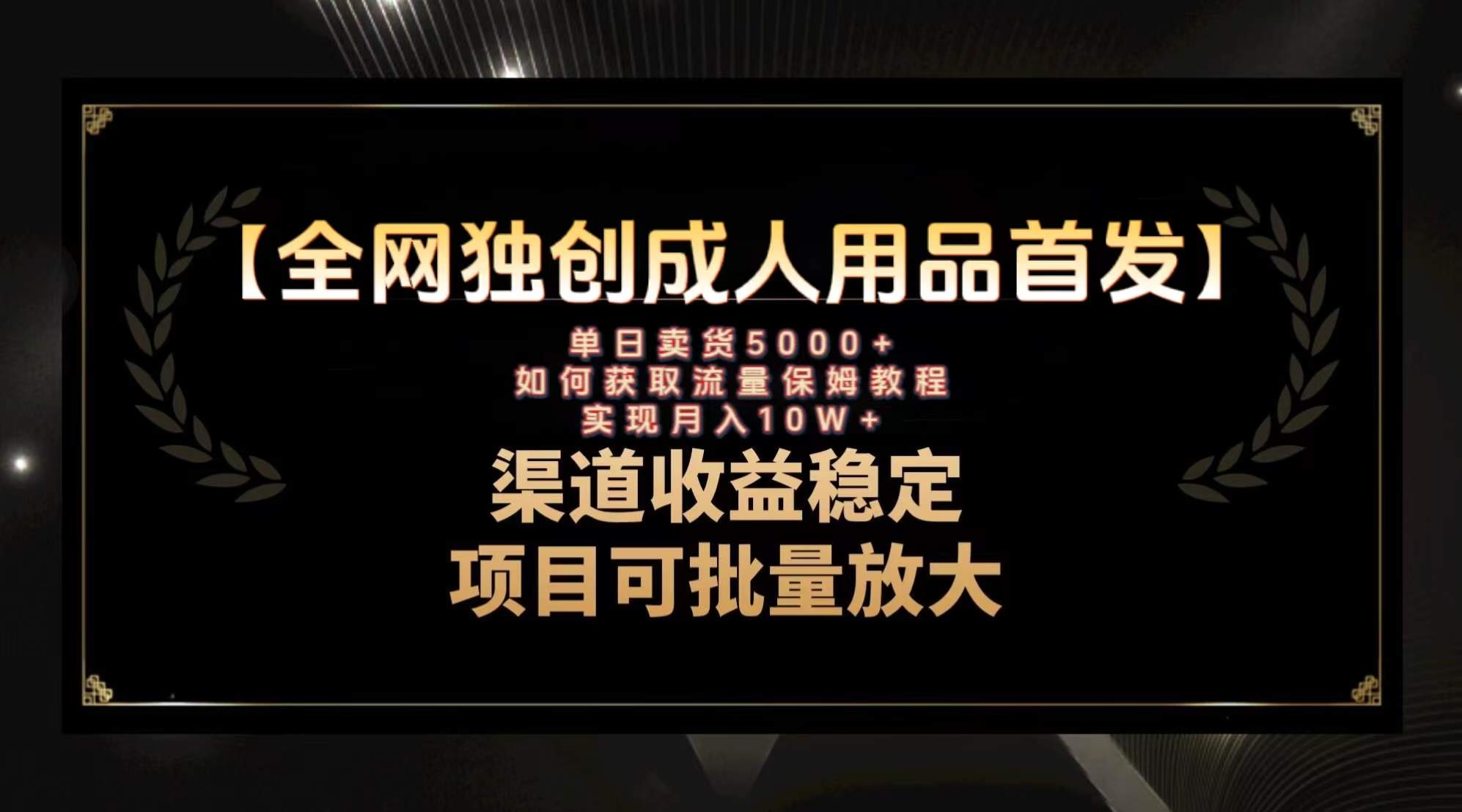 （8128期）最新全网独创首发，成人用品赛道引流获客，月入10w保姆级教程插图