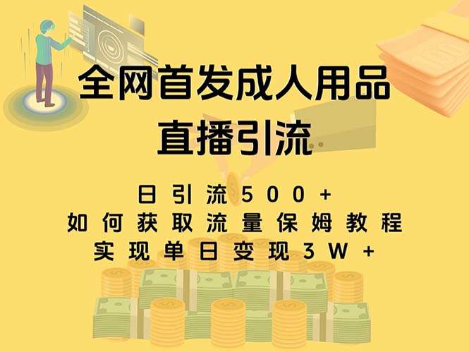 （8193期）最新全网独创首发，成人用品直播引流获客暴力玩法，单日变现3w保姆级教程插图