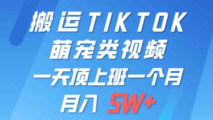 （9931期）一键搬运TIKTOK萌宠类视频 一部手机即可操作 所有平台均可发布 轻松月入5W+插图