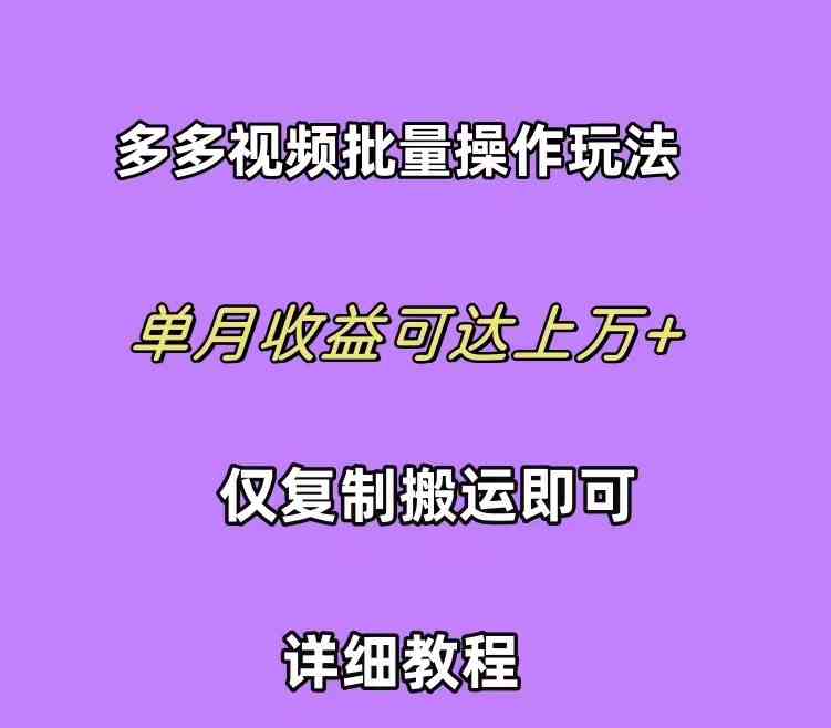 （10029期）拼多多视频带货快速过爆款选品教程 每天轻轻松松赚取三位数佣金 小白必…插图