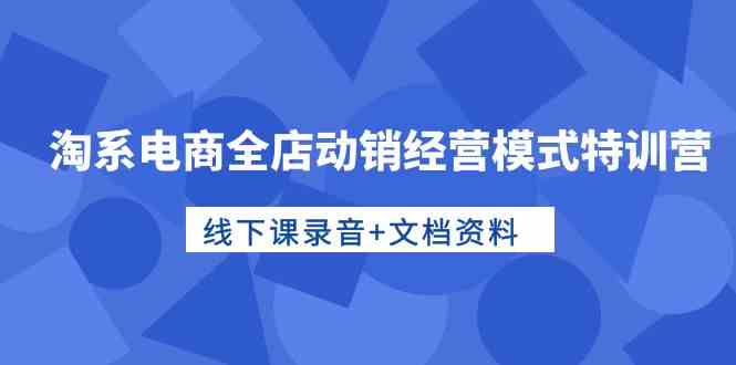 （10192期）淘系电商全店动销经营模式特训营，线下课录音+文档资料插图