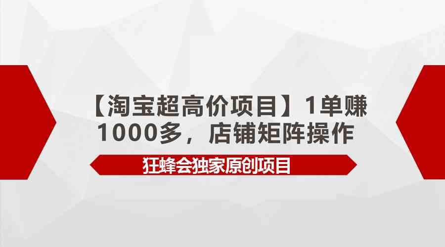 （9849期）【淘宝超高价项目】1单赚1000多，店铺矩阵操作插图