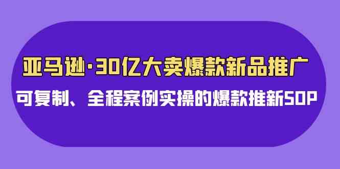 （9944期）亚马逊30亿·大卖爆款新品推广，可复制、全程案例实操的爆款推新SOP插图