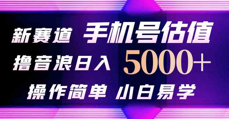 （10154期）抖音不出境直播【手机号估值】最新撸音浪，日入5000+，简单易学，适合…插图