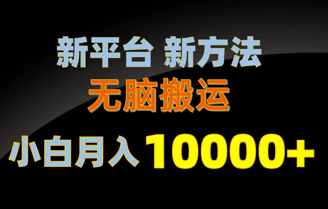 （10605期）新平台新方法，无脑搬运，月赚10000+，小白轻松上手不动脑插图
