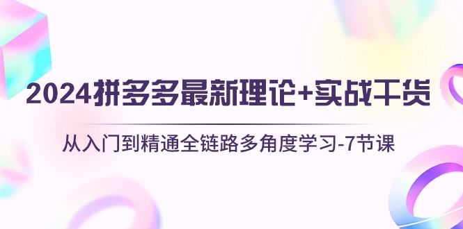 （10816期）2024拼多多 最新理论+实战干货，从入门到精通全链路多角度学习-7节课插图