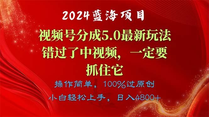 （11032期）2024蓝海项目，视频号分成计划5.0最新玩法，错过了中视频，一定要抓住…插图