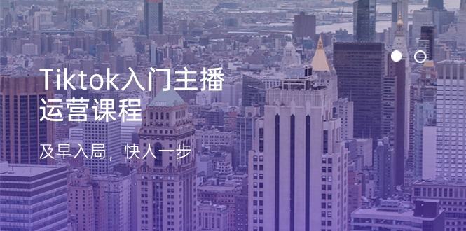 （11045期）Tiktok入门主播运营课程，及早入局，快人一步（11节）插图