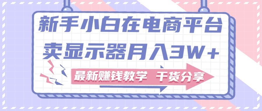 （11053期）新手小白如何做到在电商平台卖显示器月入3W+，最新赚钱教学干货分享插图